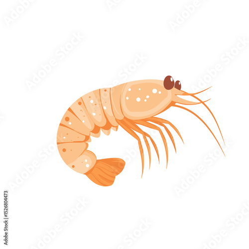 Cartoon-style shrimp illustration