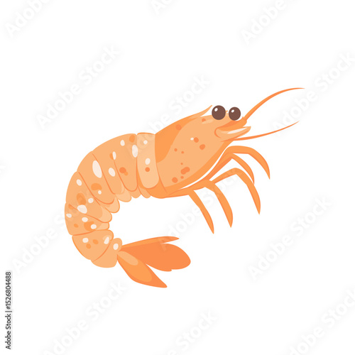 Cartoon-style shrimp illustration