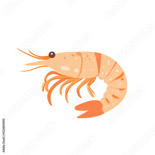 Cartoon-style shrimp illustration