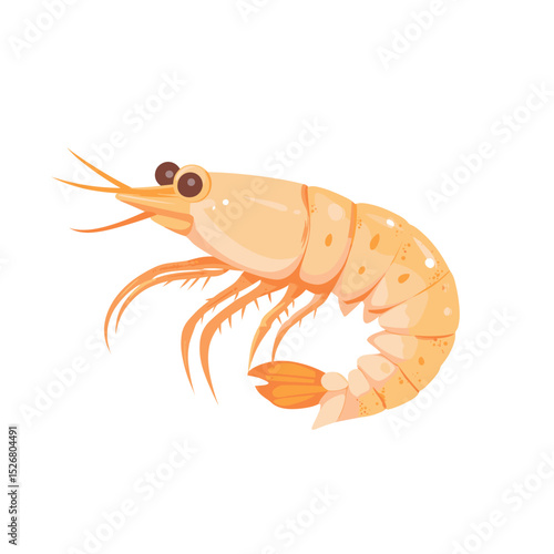 Cartoon-style shrimp illustration