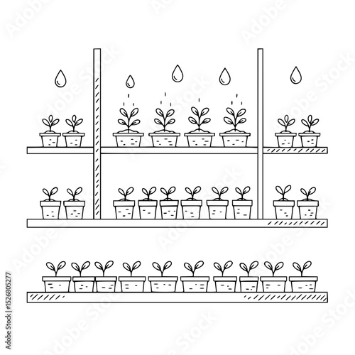 Indoor hydroponic farm with potted plants on shelves  
