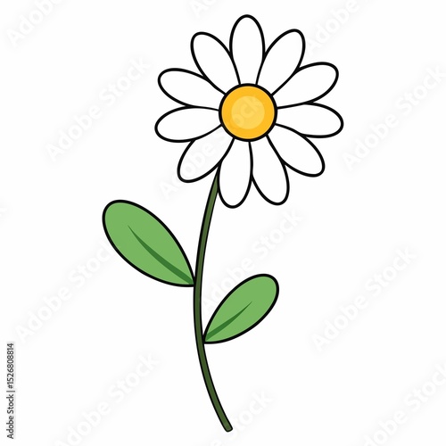 Simple Cartoon Daisy Flower with Green Stem and Leaves Isolated on White Background for Creative Projects