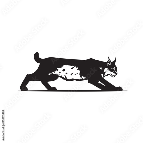 Majestic Lynx A Sleek, Powerful Wildcat Illustration