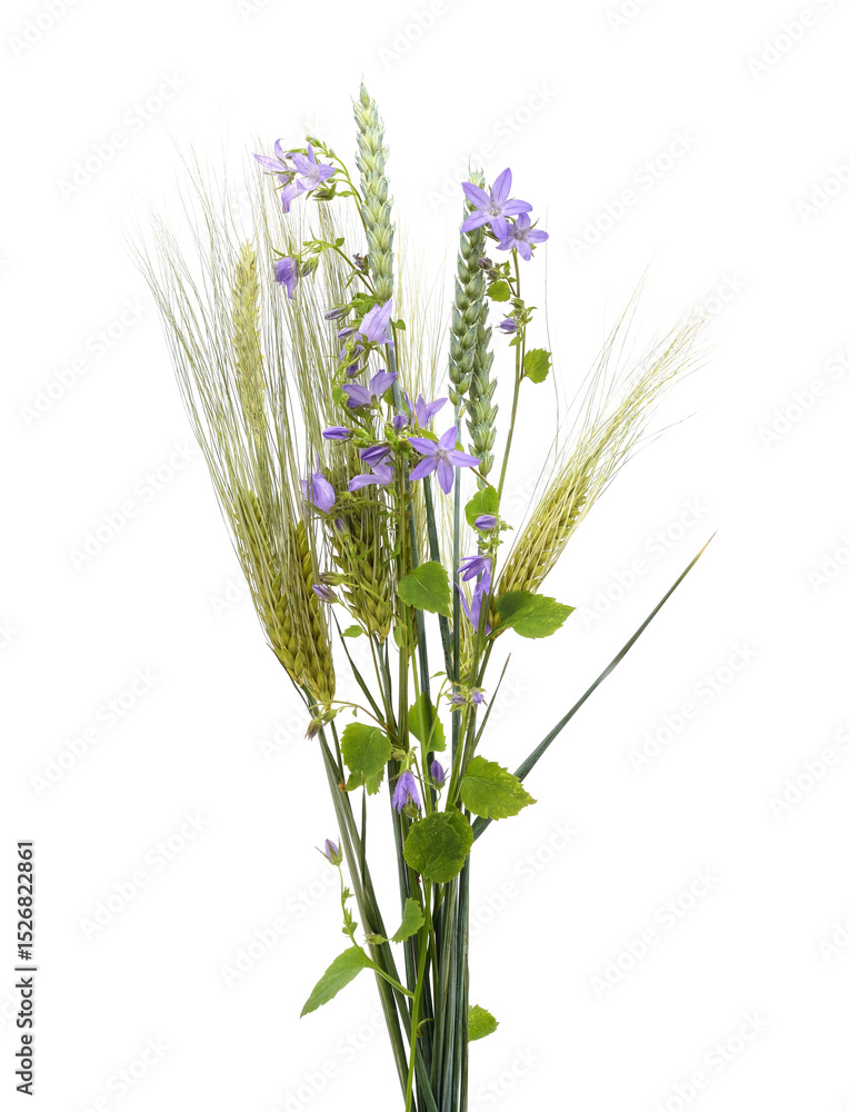 Naklejka premium Bouquet of spikelets and blue flowers.