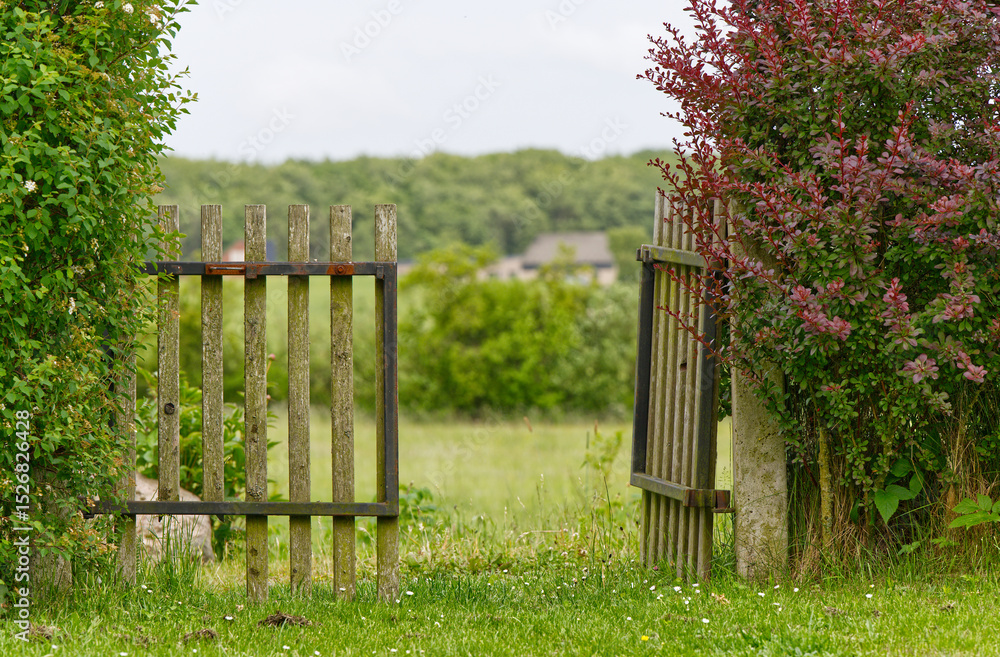 Fototapeta premium In a beautiful garden, between two Bodaux-red hedges, a wooden gate stands open in the green grass