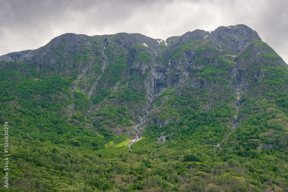 Fototapeta premium Views from the cruise that goes from Flam to Gudvangen (Norway)