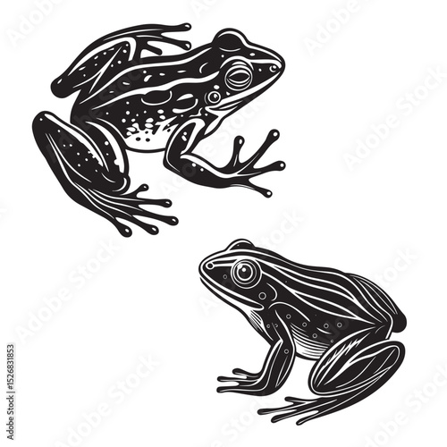 A detailed, stylized, black and white silhouette of a frog, positioned within a circular frame.