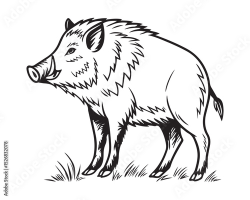 A black and white line drawing of a full boar in profile view isolated on transparent background, PNG

