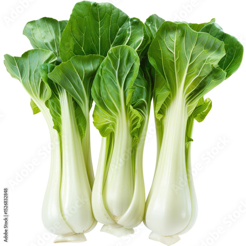 Fresh Bok Choy On White. Healthy, Raw Ingredient For Cooking.