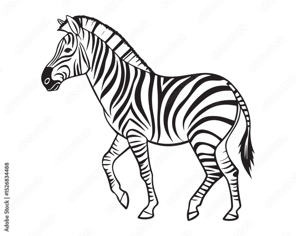 Obraz premium A black and white line drawing of a full zebra in profile view isolated on transparent background, PNG