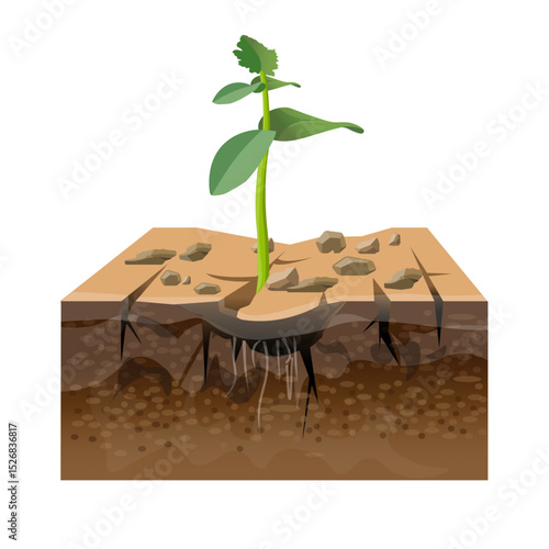 Green sprout growing from cracked dry soil. Symbol of life, hope, and renewal. Vector illustration representing drought, resilience, and environmental recovery. Isolated on white background