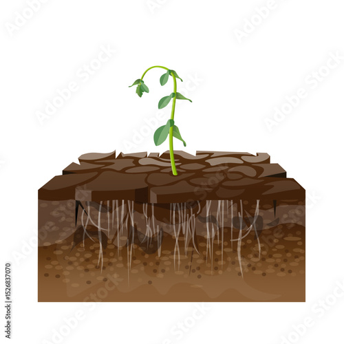 Cracked dry earth with dying plant as a symbol of land degradation and desertification. Vector illustration isolated on white background