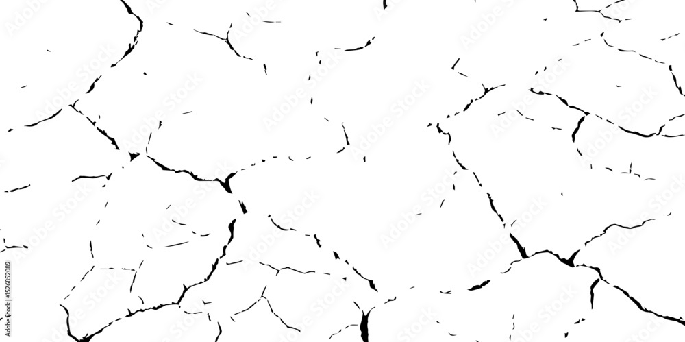 Obraz premium Closeup of dry fissure ground. White dried and cracked ground earth background.Gray crack on earth texture. erosion.