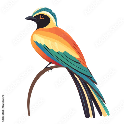 2D flat vector illustration of Paradise Bird Close Up, isolated on a white background.