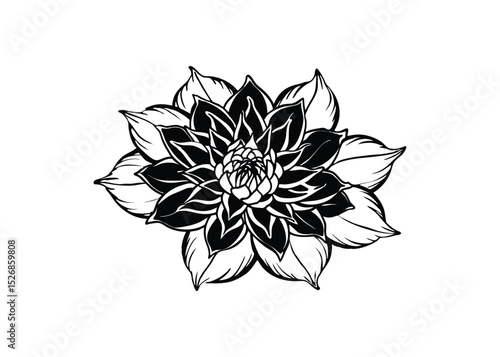 Silhouette of a flower in close up isolated on a white background