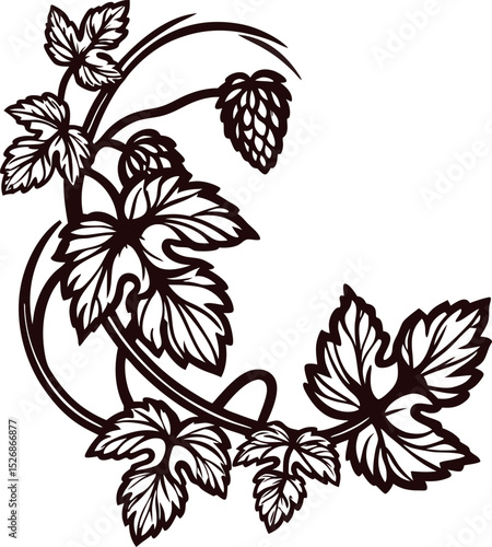 Hand drawn hop plant branch with leaves and cone vintage botanical engraving illustration