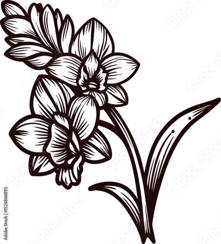 black and white floral drawing on white background clip art preview