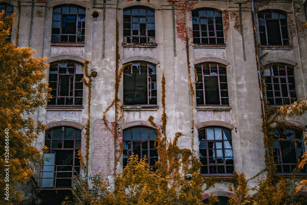 Fototapeta premium Old industrial building with broken windows and overgrown vines on the facade. Autumn colors add contrast to the decaying structure.