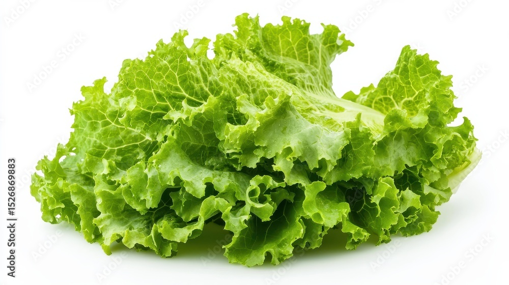 Fresh green lettuce leaf isolated on white background Fresh green lettuce leaf isolated on white background