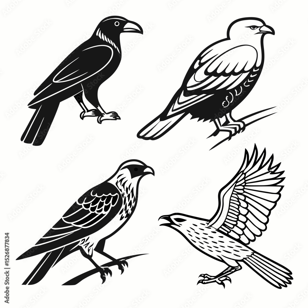 Fototapeta premium Bird silhouettes set black and white eagles hawks ravens flying perched wildlife vector illustration design elements collection