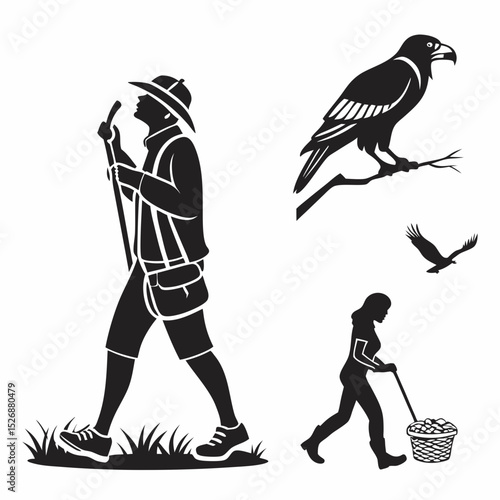 Professional silhouettes hiking bird collecting nature