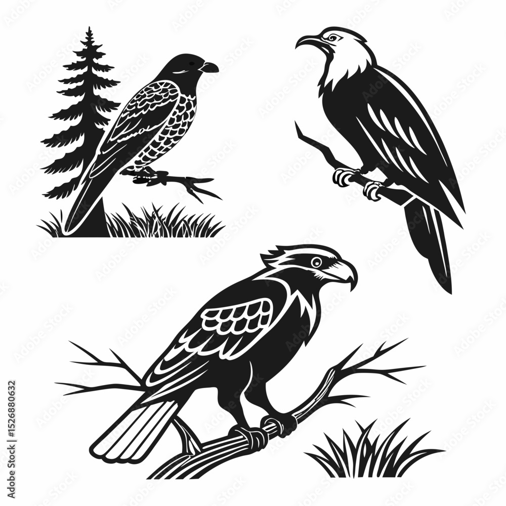 Professional bird silhouettes set isolated on white Professional bird silhouettes set isolated on white