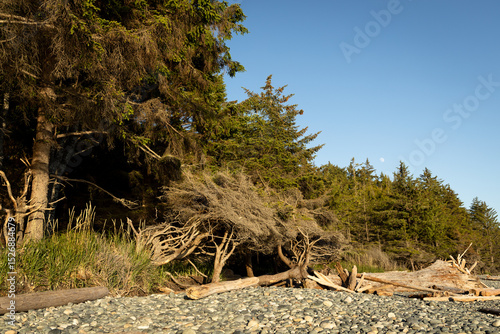 Sunset on a rocky beach with the moon