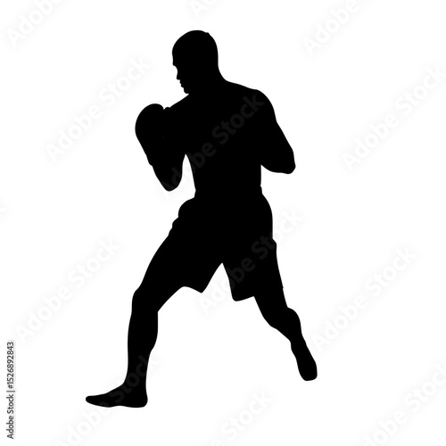 Silhouette of a boxer in fighting stance with gloves on  
