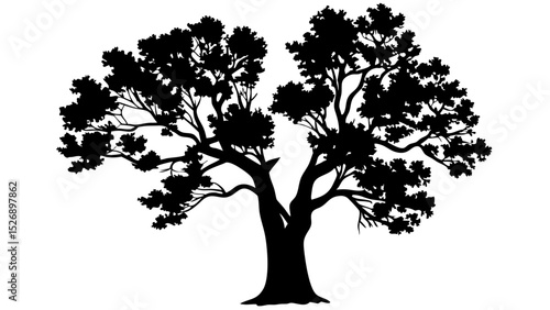 Transparent silhouette vector of evergreen pine fir spruce trees, isolated black forest nature elements

