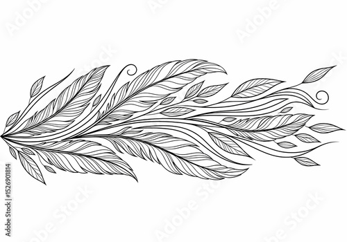 black and white feathers