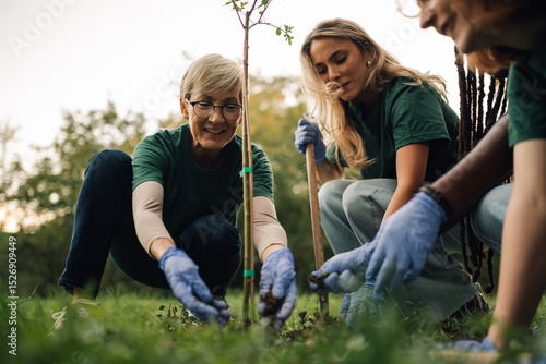 Konstfotografi Volunteers planting a tree in the forest for environmental conservation