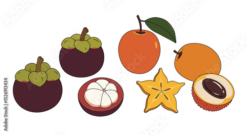 Vibrant Tropical Fruits Illustration Mangosteen, Apricot, Star Fruit, Lychee