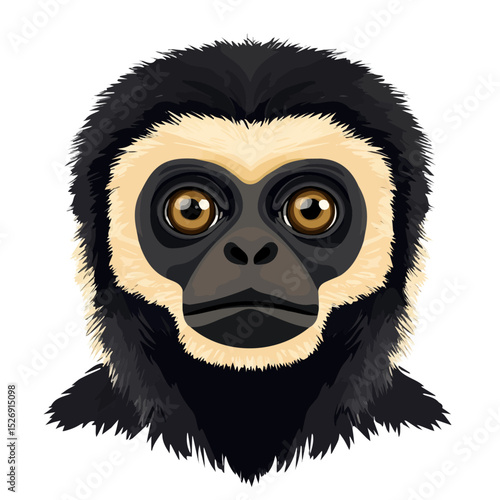 Gibbon Close Up 2D flat vector illustration, isolated on a white background.