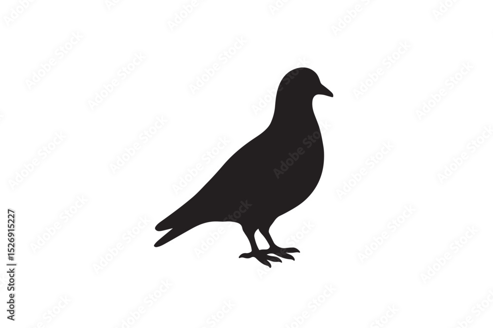 Fototapeta premium Pigeon silhouette on white background.01