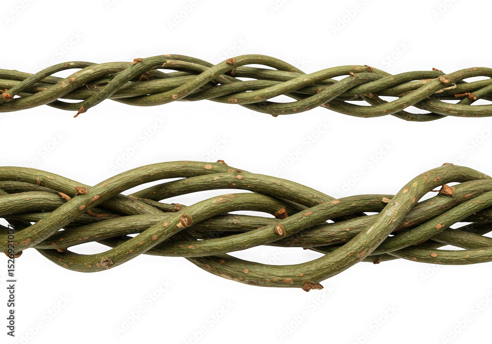 Naklejka premium Intertwined green twigs seamless pattern isolated on transparent background