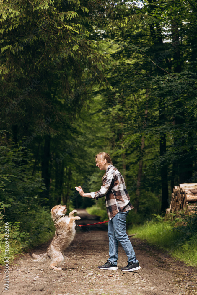 Fototapeta premium Dog training session in a lush forest, with a person encouraging their pet to perform tricks on a dirt path surrounded by greenery