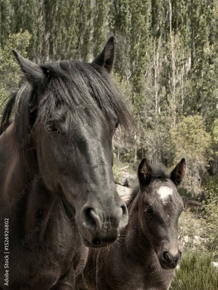 Obraz premium OLYMPUS DIGITAL CAMERA