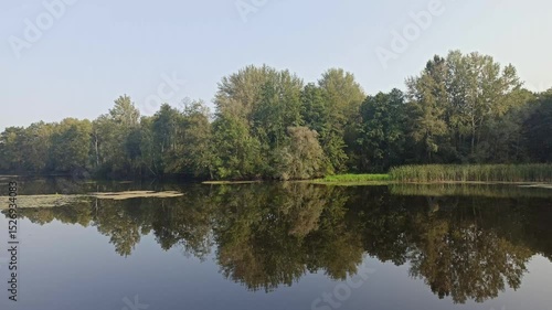 The water surface of forest river. Beautiful landscape with forest lake