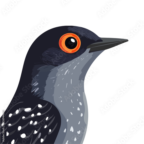 2D flat Cuckoo Close Up vector illustration, isolated on a white background.