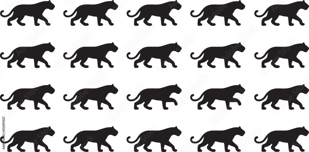 Fototapeta premium This is a Leopard