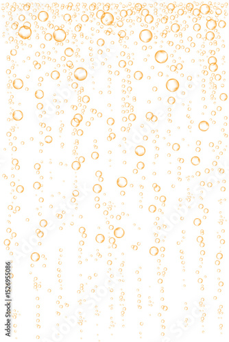Champagne., orange sparkling water or beer.