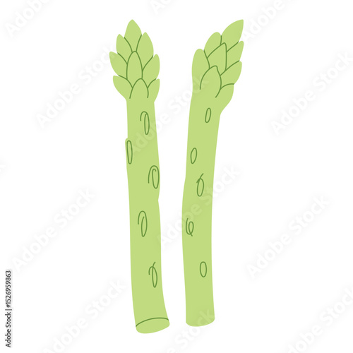 Trendy Hand Drawn asparagus vegetable Illustration isolated on white background. Modern Abstract Mediterranean Aesthetic. Vector Art for Home Decor, Dining Spaces
