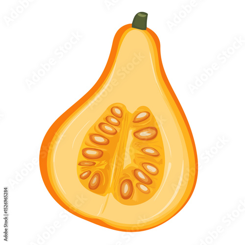 Butternut Squash Slice 2D flat vector illustration, isolated on a white background.