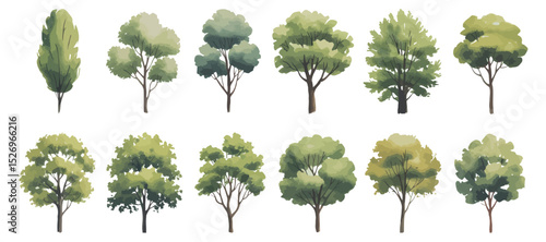 Set of Watercolor Trees Isolated on White Background Different Shapes and Shades of Green Perfect for Landscape Design and Architectural Visualization Projects