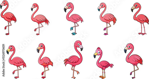 flamingo mascot logo cartoon set vector illustration