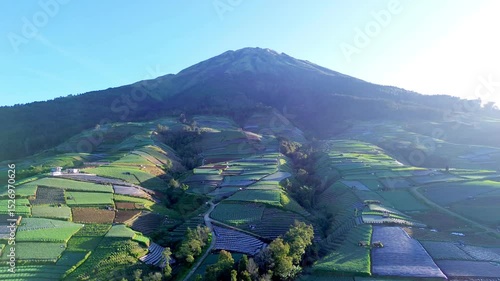 Vegetables on the slopes of Mount Sumbing are very fresh and green in the morning as seen from an aerial drone, in Butuh village, Kaliangkrik, Magelang, Indonesia.