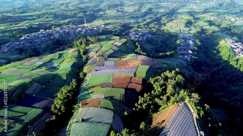 expanse of green gardens on the slopes of Mount Sumbing in Sukomakmur Village, Magelang Indonesia.