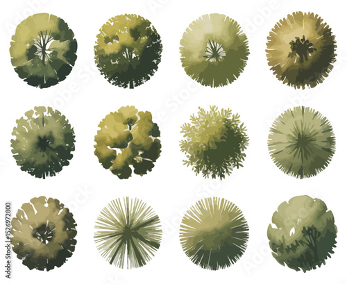 Top View Tree Symbols for Landscape Design and Architecture Plans Green Foliage Isolated on White Background Vector Illustration