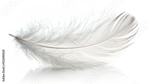 Fototapeta Naklejka Na Ścianę i Meble -  A single, delicate white feather floats gracefully against a pristine white background, casting a subtle shadow