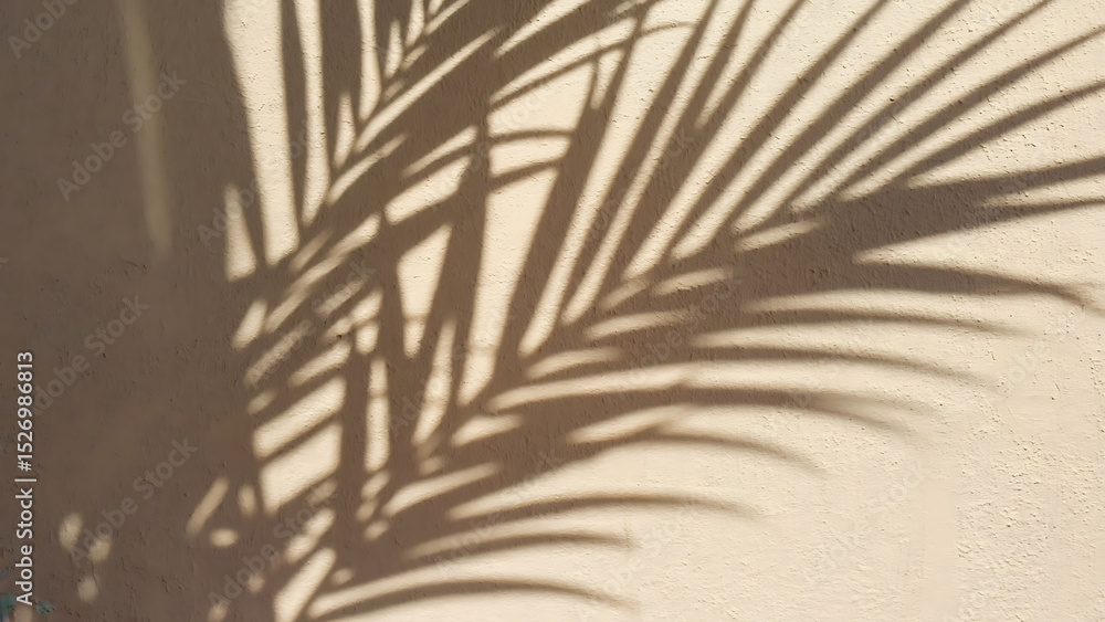 Obraz premium Palm Leaf Shadow on Wall